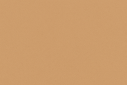 light brown solid background